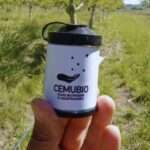 INTA exporta a Uruguay controladores biológicos para aplicar en frutales