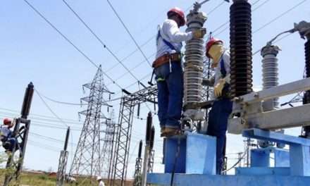 El Gobierno dispuso que las obras para expandir la red eléctrica nacional sean financiadas por privados