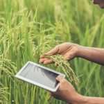 ¿Cuál es el papel de la Inteligencia Artificial En la agricultura?