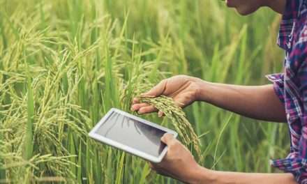 ¿Cuál es el papel de la Inteligencia Artificial En la agricultura?