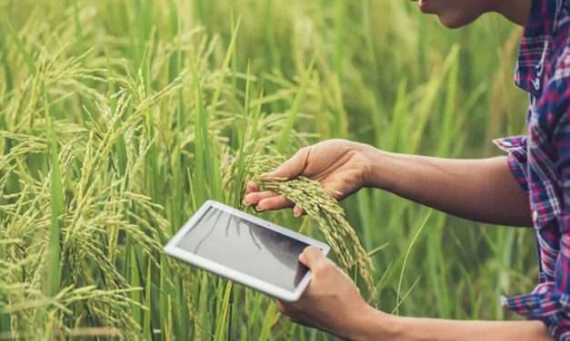 ¿Cuál es el papel de la Inteligencia Artificial En la agricultura?