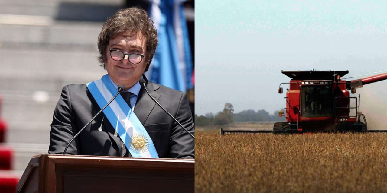 El campo espera por el plan Milei: la siembra será menor en 2026 y «no es buen momento para invertir»