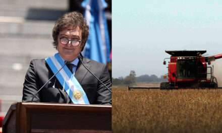 El campo espera por el plan Milei: la siembra será menor en 2026 y «no es buen momento para invertir»