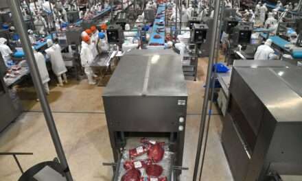 Argentina destaca la postergación de la implementación del Reglamento de la UE sobre la Deforestación