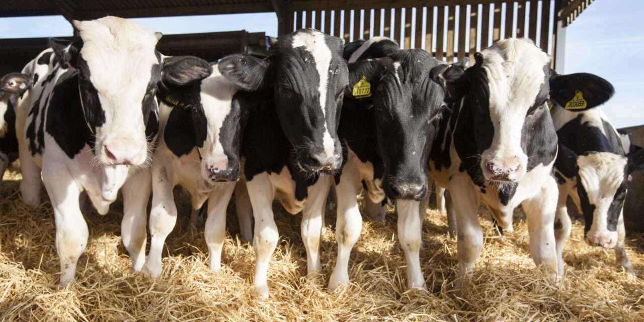 CARBAP cuestionó la tasa ambiental que propone crear una legisladora