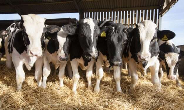 CARBAP cuestionó la tasa ambiental que propone crear una legisladora