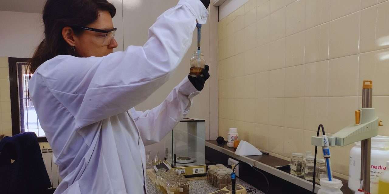 Estudian microorganismos nativos para el control de malezas en pastizales