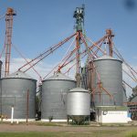 Cómo reducir el riesgo de mezclas en la cosecha y minimizar pérdidas