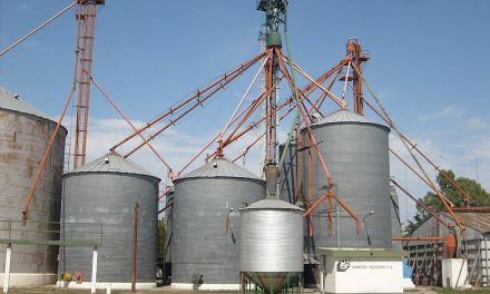 Cómo reducir el riesgo de mezclas en la cosecha y minimizar pérdidas