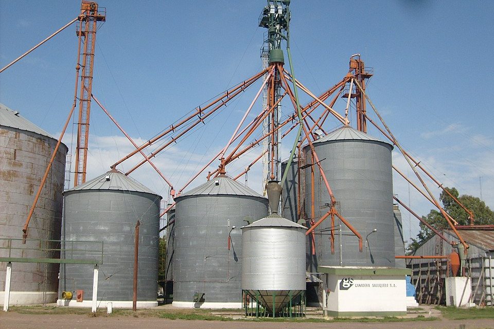 Cómo reducir el riesgo de mezclas en la cosecha y minimizar pérdidas