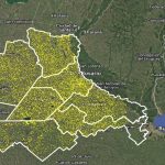 220.00 ha más de trigo: la región sembró la mayor área de los últimos 16 años