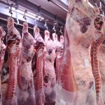 Un diagnóstico incierto del ciclo ganadero argentino según la Bolsa de Rosario