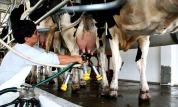 La crisis Láctea Santafesina: productores al límite mientras una empresa suma deudas