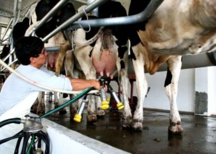 La crisis Láctea Santafesina: productores al límite mientras una empresa suma deudas