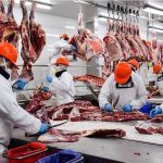 Abren la inscripción para la cuota de carne vacuna a Estados Unidos del ciclo 2026