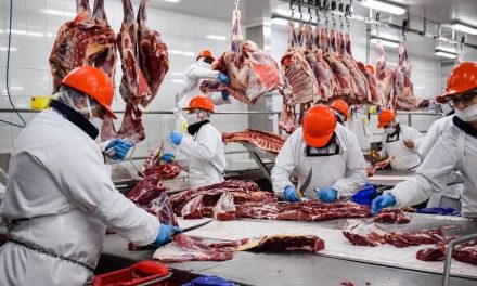 Abren la inscripción para la cuota de carne vacuna a Estados Unidos del ciclo 2026