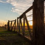 El campo cierra un buen año y ya hablan de inversiones con la llegada del 2026