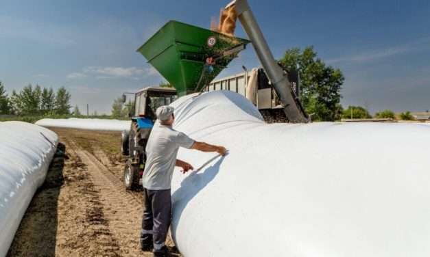 El monitoreo de granos en silobolsas: etapa crítica que  define calidad y rentabilidad