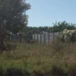 General Deheza refuerza controles por terrenos baldíos y advierte sanciones a propietarios