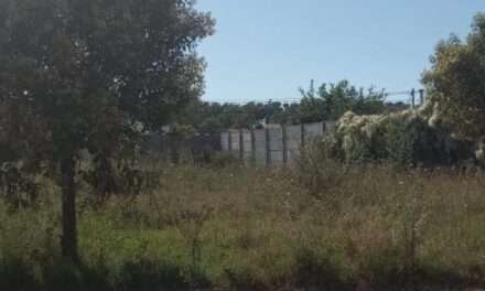 General Deheza refuerza controles por terrenos baldíos y advierte sanciones a propietarios