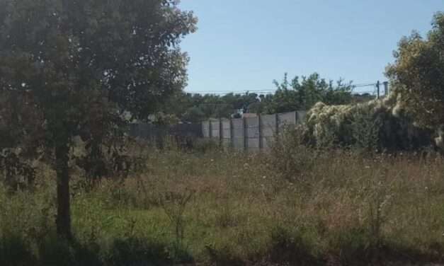 General Deheza refuerza controles por terrenos baldíos y advierte sanciones a propietarios