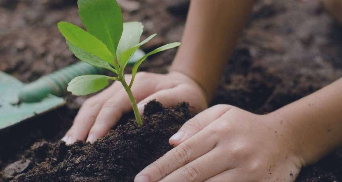 Gestión del suelo: aportes del INTA y desafíos para su conservación