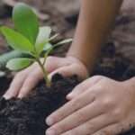 Gestión del suelo: aportes del INTA y desafíos para su conservación