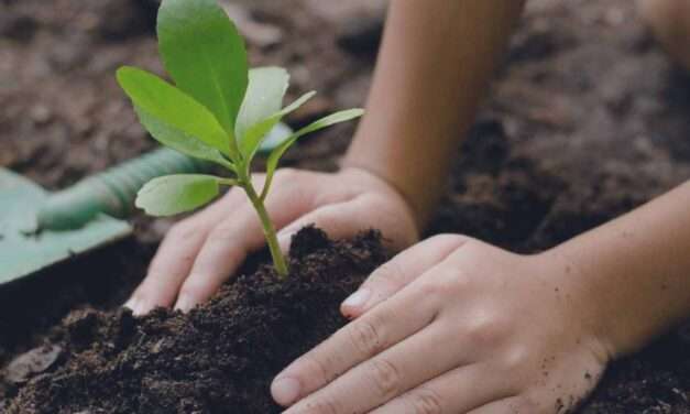 Gestión del suelo: aportes del INTA y desafíos para su conservación