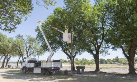 Río Cuarto: Instalan 24 luminarias LED en la costa sur del río