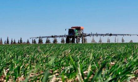 La Justicia bonaerense suspendió preventivamente una ordenanza acerca de aplicación de agroquímicos