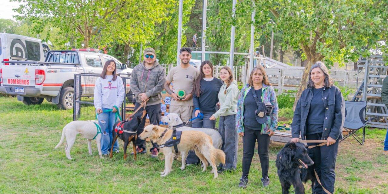 Adelia María: se desarrolló un trabajo colaborativo en el refugio canino municipal