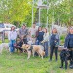 Adelia María: se desarrolló un trabajo colaborativo en el refugio canino municipal