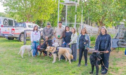 Adelia María: se desarrolló un trabajo colaborativo en el refugio canino municipal