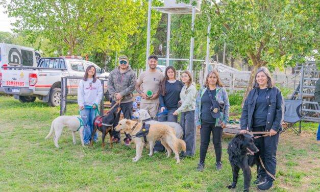 Adelia María: se desarrolló un trabajo colaborativo en el refugio canino municipal