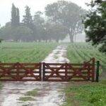 Temperaturas elevadas  y lluvias normales, son el  escenario para los cultivos