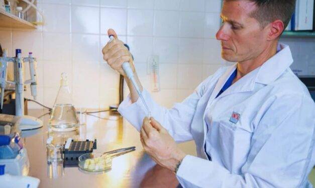 Chips de mozzarella: innovación del INTA para mejorar la nutrición