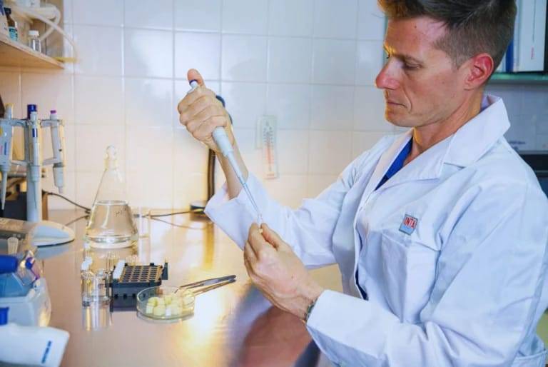 Chips de mozzarella: innovación del INTA para mejorar la nutrición