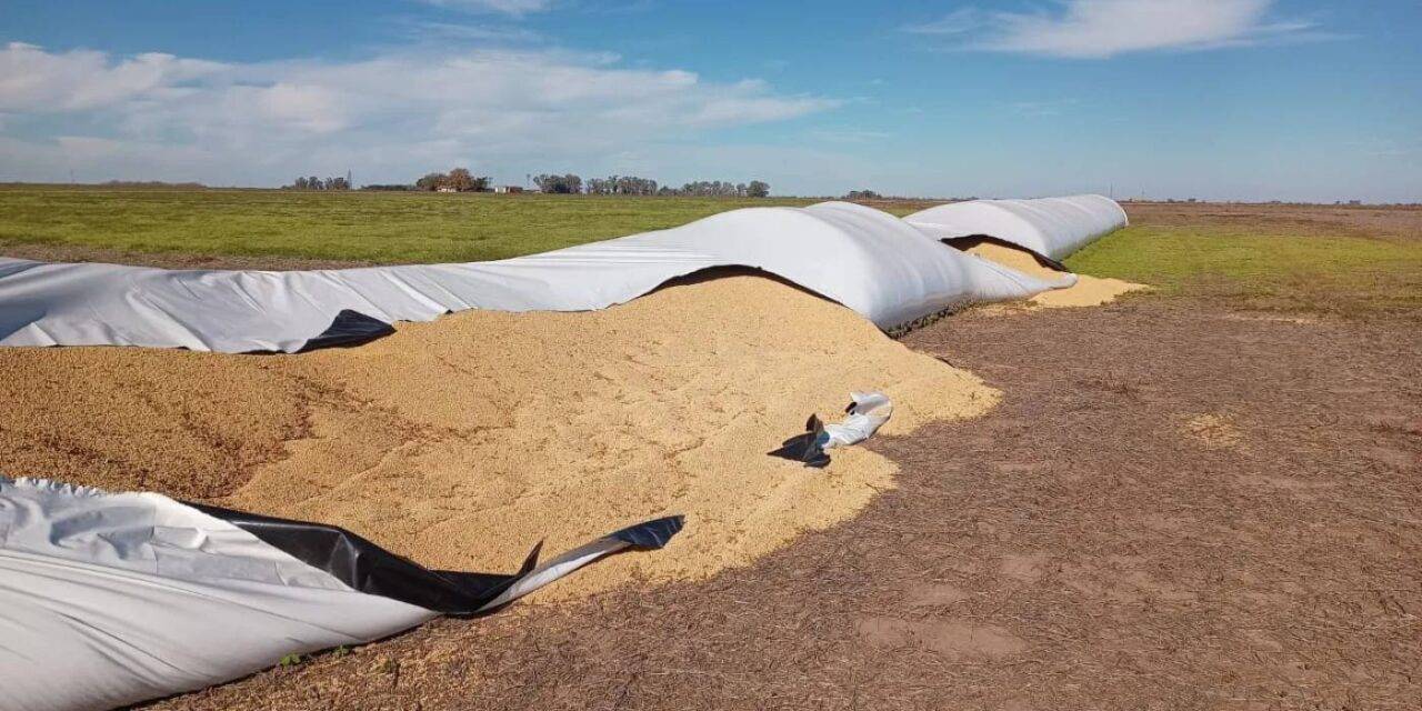 CRA lanzó en su página web un registro de los delitos para poder reforzar reclamos