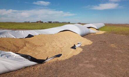 CRA lanzó en su página web un registro de los delitos para poder reforzar reclamos