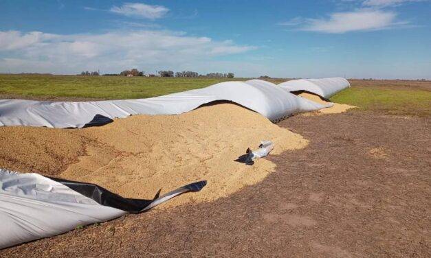 CRA lanzó en su página web un registro de los delitos para poder reforzar reclamos