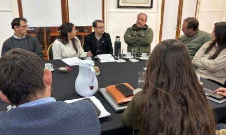 Ajuste selectivo: Agricultura pierde fondos y el Senasa gana protagonismo en 2026