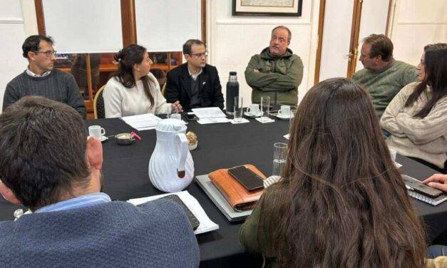 Ajuste selectivo: Agricultura pierde fondos y el Senasa gana protagonismo en 2026