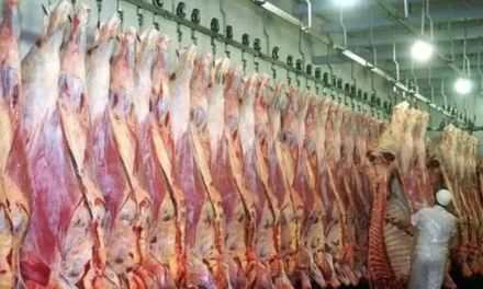 China aplica aranceles adicionales del 55% a la exportación de carne