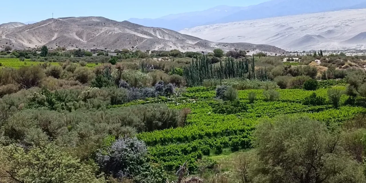 Mapa de la Tierra: más de 13 millones de hectáreas en el país están bajo control extranjero