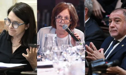 Reforma laboral, glaciares, imputabilidad: mujeres cordobesas piden que sean rechazados los proyectos
