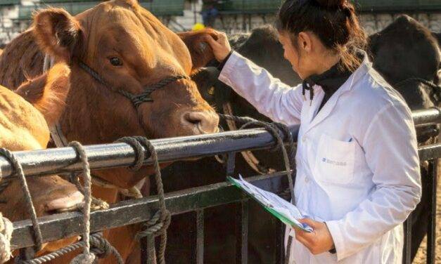 Actualizan sistema de  acreditaciones en sanidad animal para veterinarios, técnicos y privados