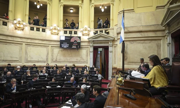 Senado: a seis años de la Ley de Paridad de Género, las mujeres nunca ocuparon el 50% de las bancas