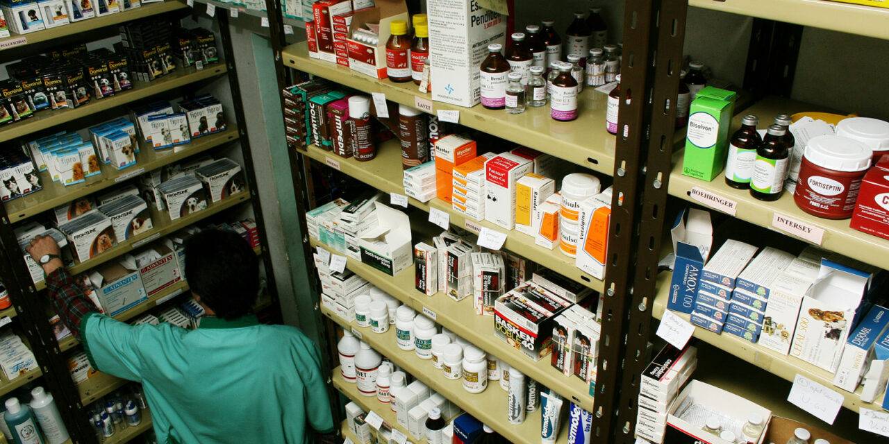 En 2025 aumentaron las inscripciones y las renovaciones de los productos veterinarios