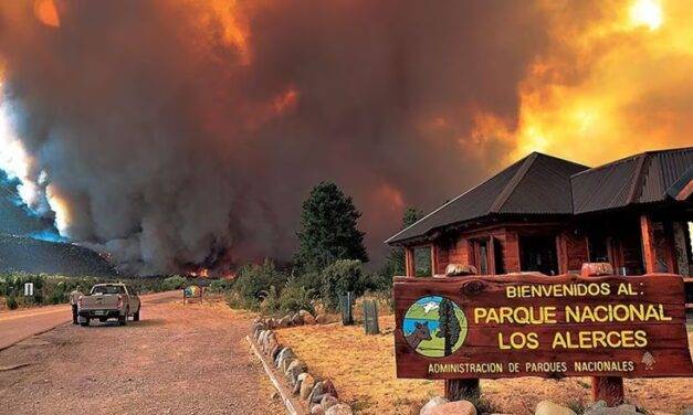 «Nuestra Patagonia arde», el clamor que resuena también en la Iglesia