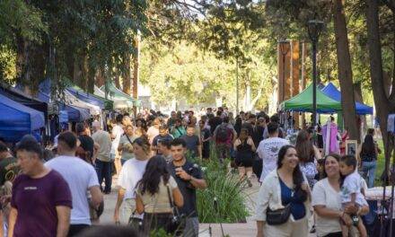 Se llevó adelante el Paseo de Ferias en el Parque Sarmiento